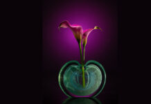 Choosing The Right Lens For Floral Photography