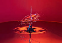 The Art of Photographing Water Droplets
